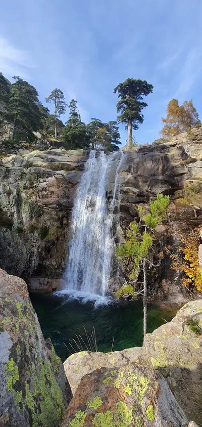Cascade de la radule