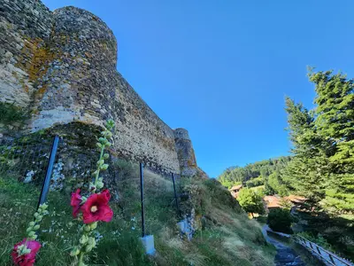 Courtines du château