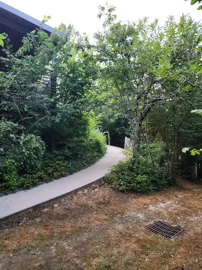 Chemin d'accès au gouffre de Proumeyssac