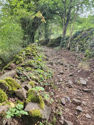 Chemin d'accès à la cascade