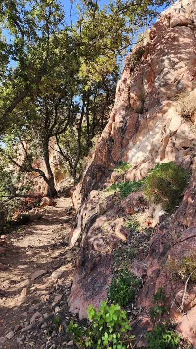 Chemin capo rosso scaled