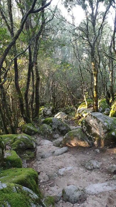 Chemin sur le site du Capula