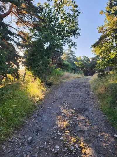 Chemin pinatelle zouave