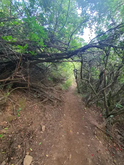 Chemin d'accès aux piscines
