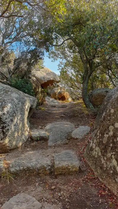 Chemin d'accès