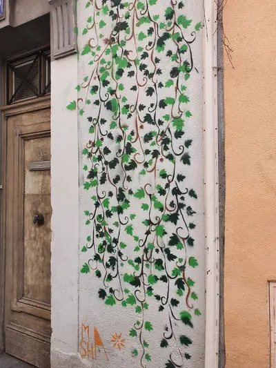 Lierre vert clair et vert foncé