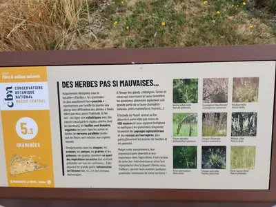 Panneau au Conservatoire botanique du Massif central à Chavaniac-Lafayette