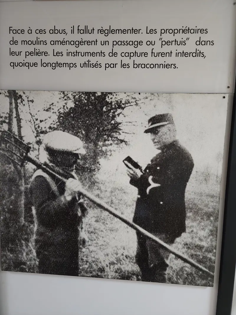 Amende reçue par un pêcheur de saumon à Brioudes