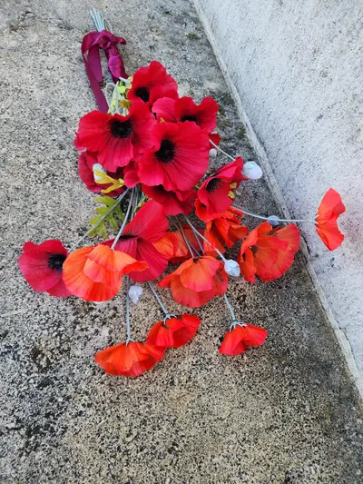 bouquet de coquelicots