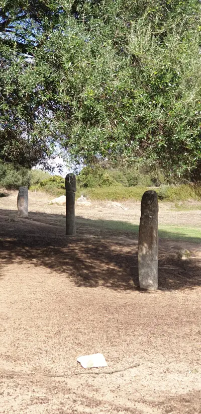Cercle de pierres mégalithiques