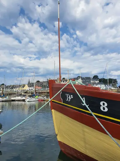 Dernier sardinier port de Douarnenez