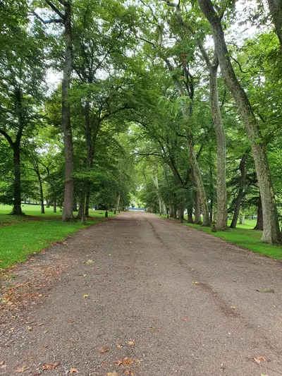 Chemin dans le parc