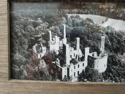 Ruines du château au milieu des arbres
