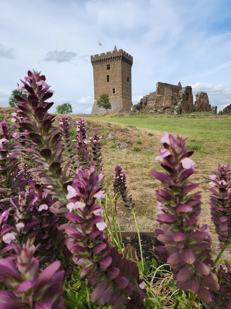 Donjon et jardins médiévaux