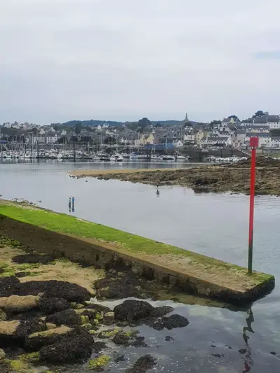 Douarnenez