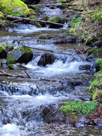Rivière de la Beaume