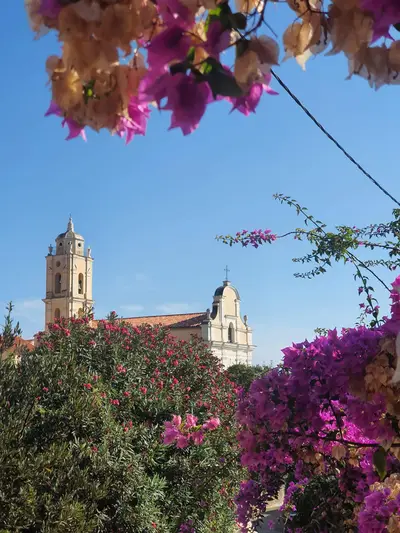 Eglise catholique de Cargèse avec des bougainvilliers
