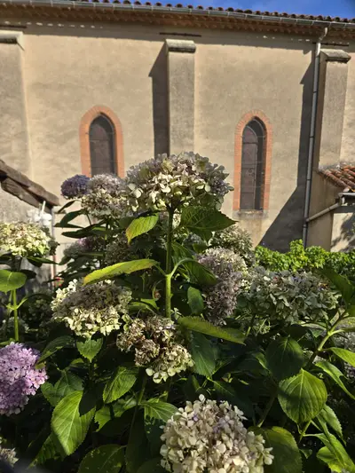 fleurs