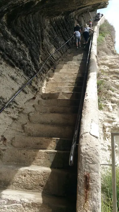 Marches de l'escalier
