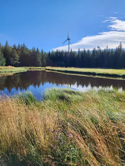 Eolienne près de l'étang des Barthes