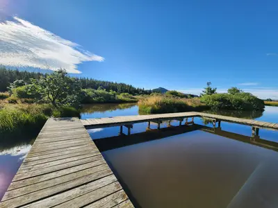 Etang des barthes pilotis scaled