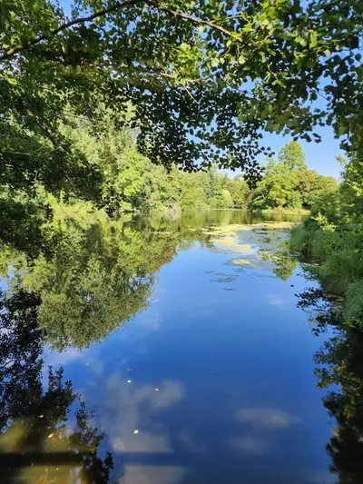 Etang Parc Mosaïc