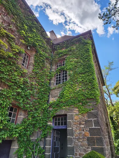 Façade avec du lierre
