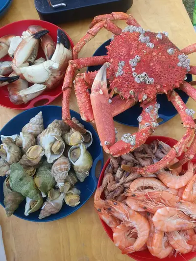 Dégustation fruits de mer