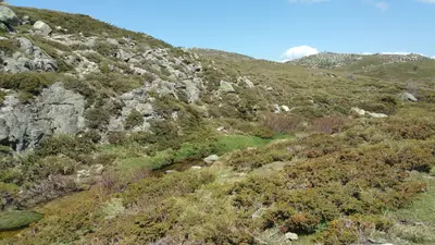 Paysage méditerranéen de garrigue