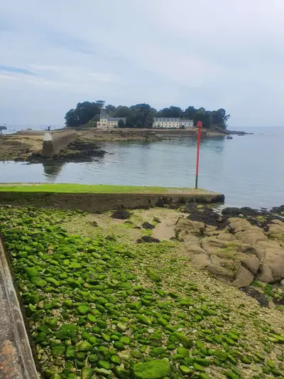 Ile Tristan Douarnenez