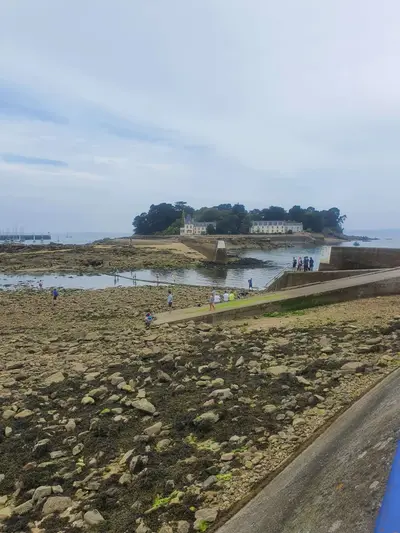 Ile Tristan Douarnenez