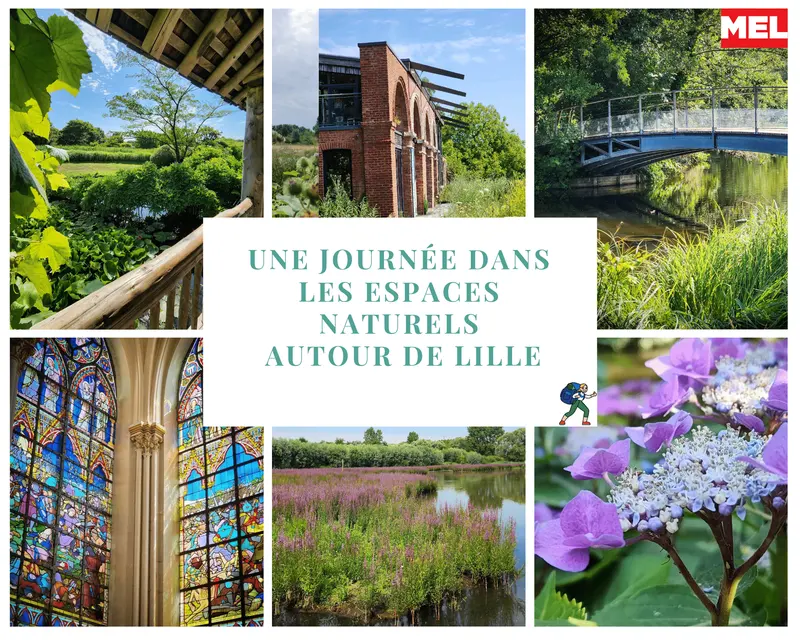 Une journée dans les espaces naturels près de Lille