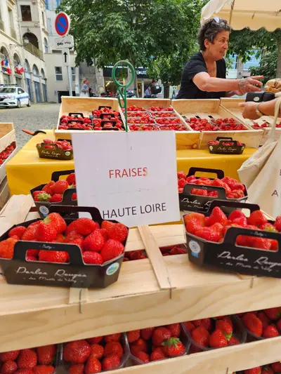 fraise du velay