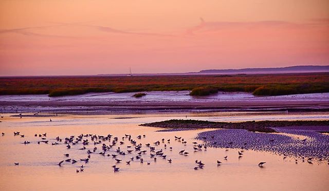 Lever de Soleil en Baie de Somme