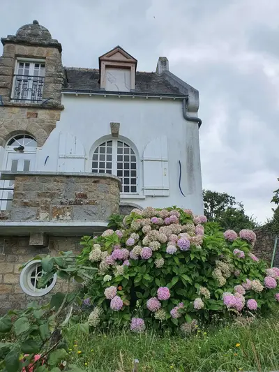 Maison hortensias ile aux moines