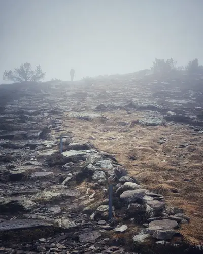 Chemin jusqu'au sommet dans le brouillard