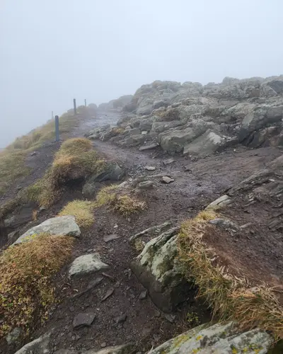 Mezenc chemin terre herbe brouillard scaled