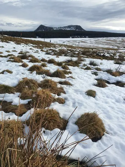 Mont Mézenc sous la neige