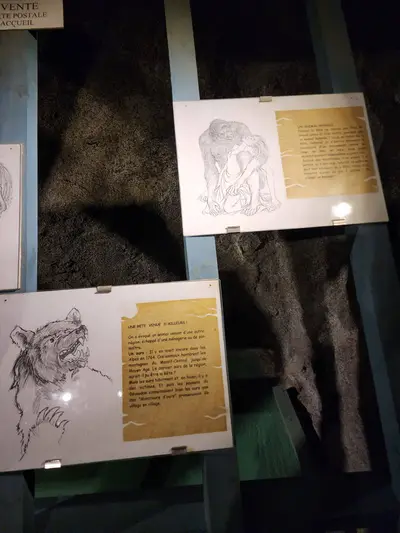 Hypothèses sur la bête du Gévaudan visibles dans le musée de Saugues