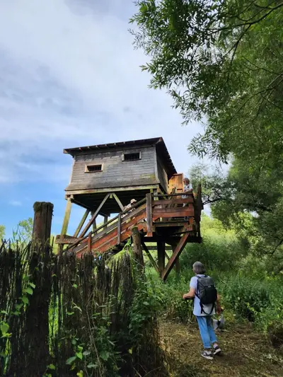 Observatoire marais de la Marque