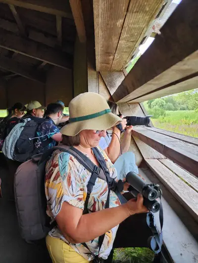 Observation des oiseaux