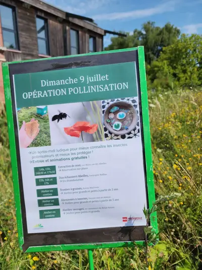 Opération pollinisation