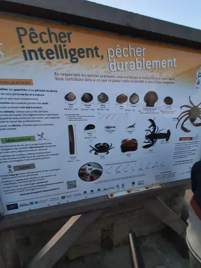 Panneau pecher intelligent concarneau