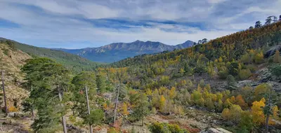 Panorama montagne corse