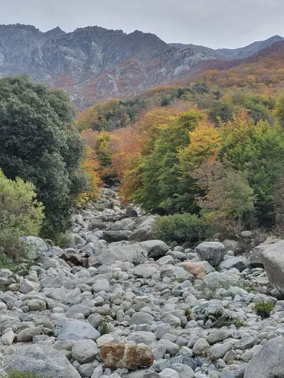 Paysage corse automne 1 scaled