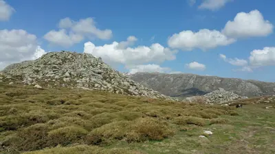Paysage minéral