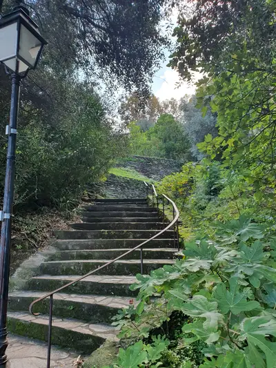 Escaliers avec une rambarde
