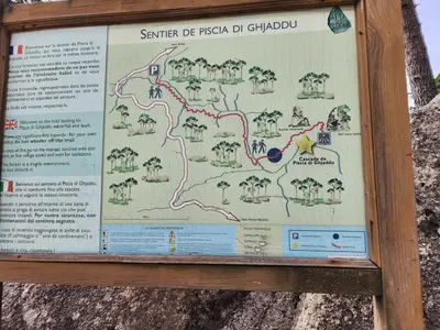 Piscia di gallu panneau scaled