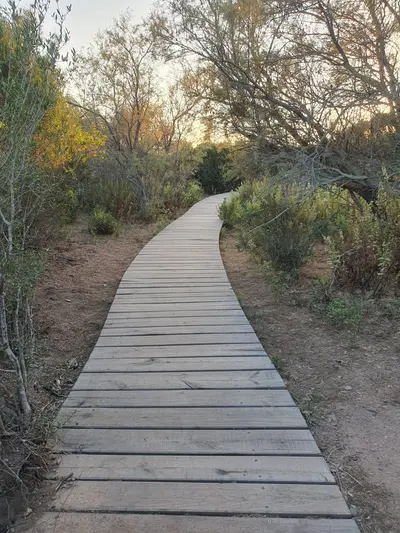 Chemin d'accès en bois