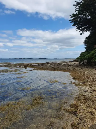 île aux Moines